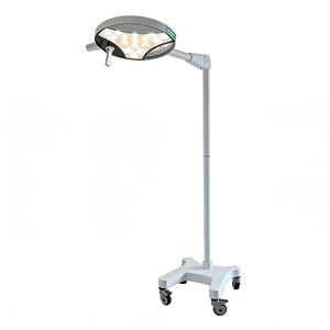 Mobile LED Examination Lamp Manufacturer Medical Exam Light with CE ISO